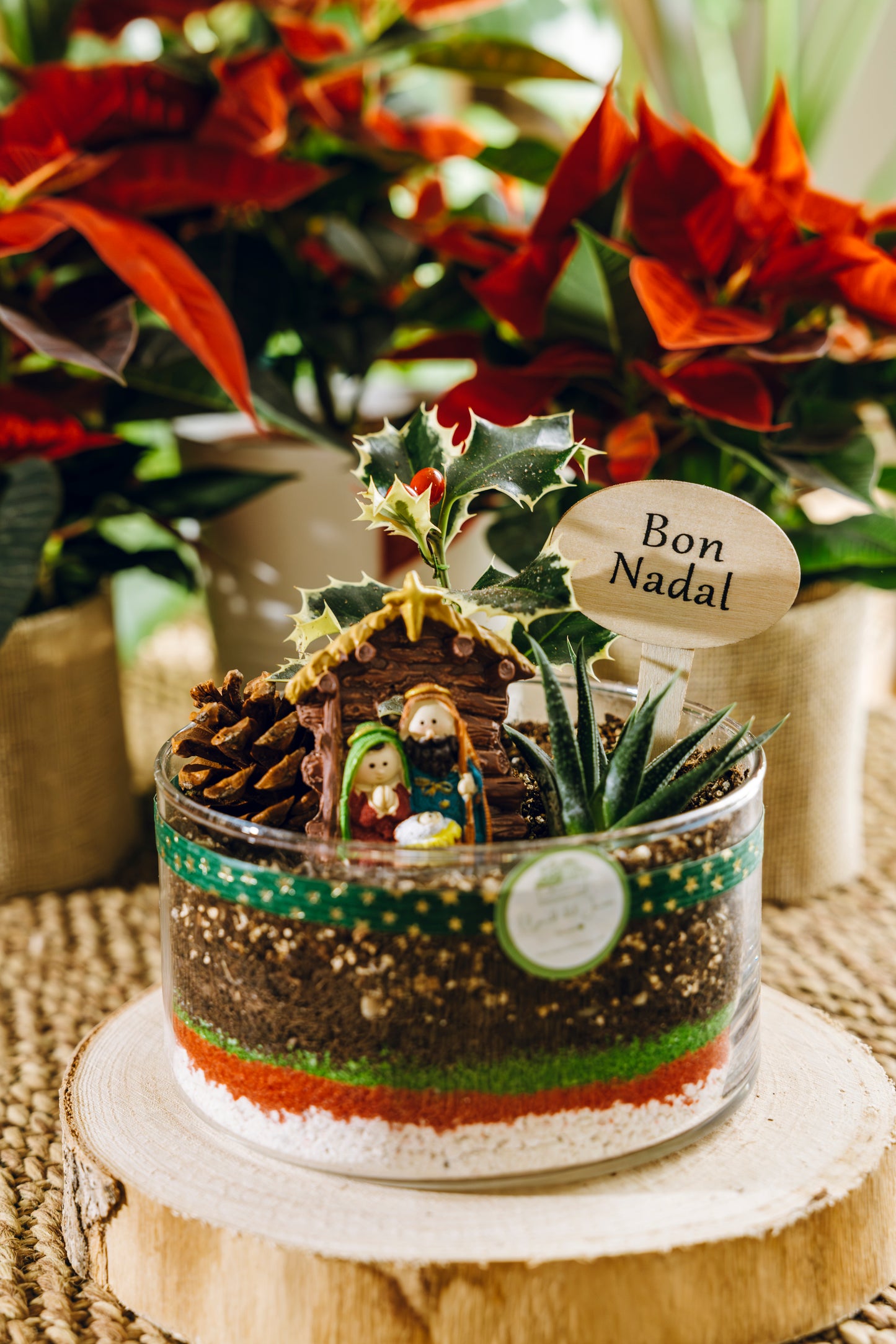 Jardín Zacapa Navidad - Edición especial