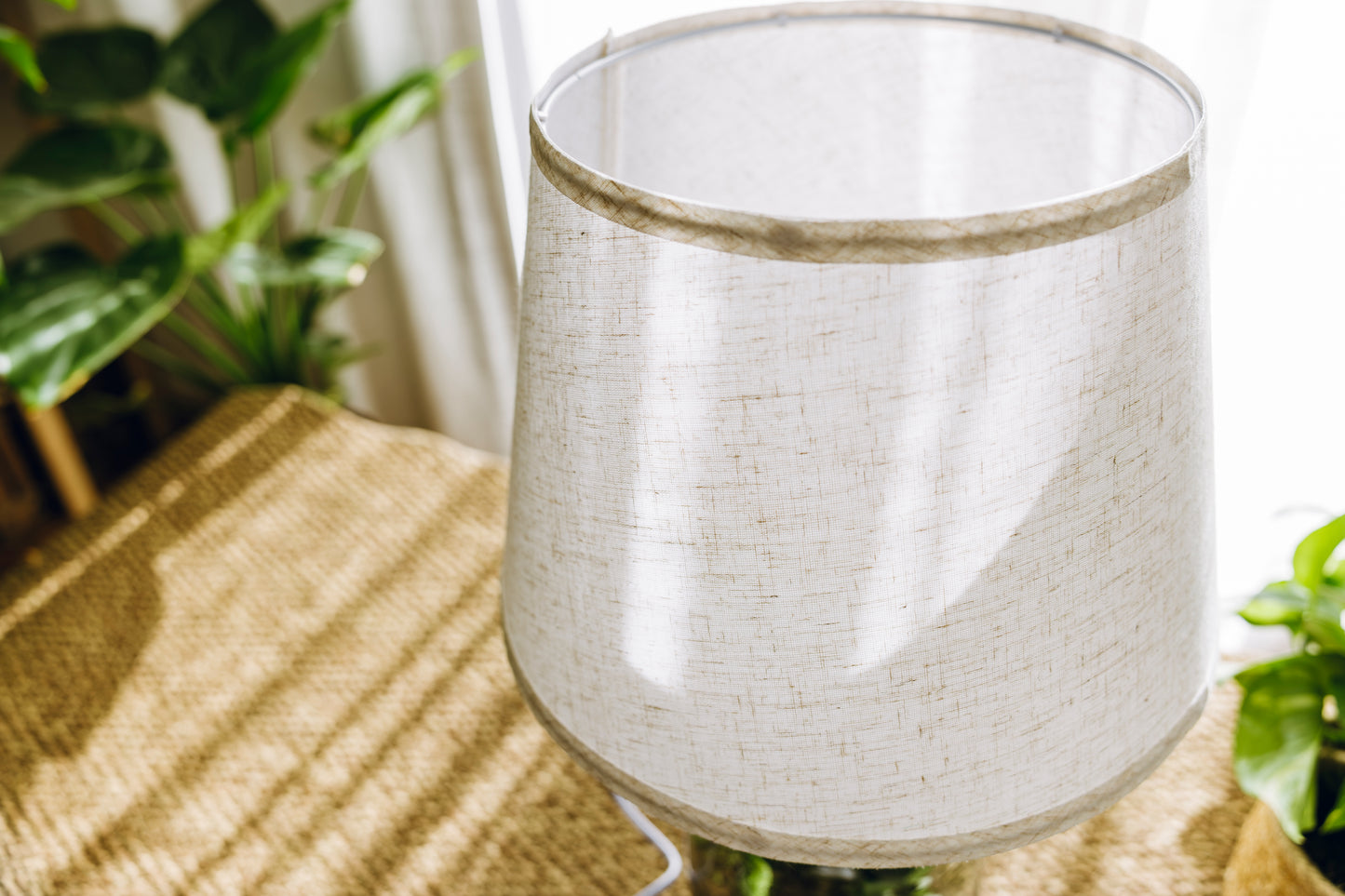 Terrario Sarrià Navidad - Edición espeial