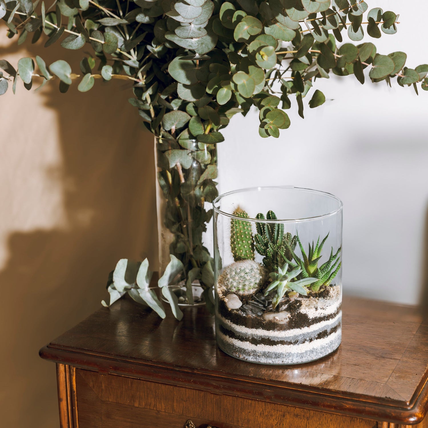 Terrarios Desérticos