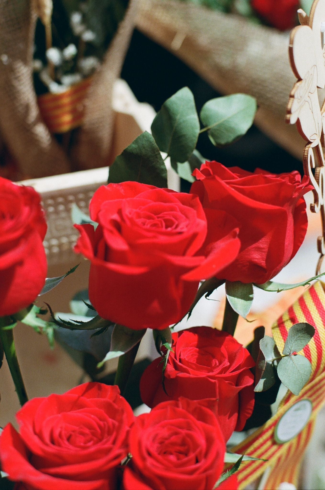 Colección Sant Jordi: Más que una Rosa