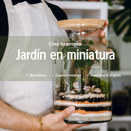 Taller crea tu propio jardín - Viernes 5 Septiembre 2025 a las 18h