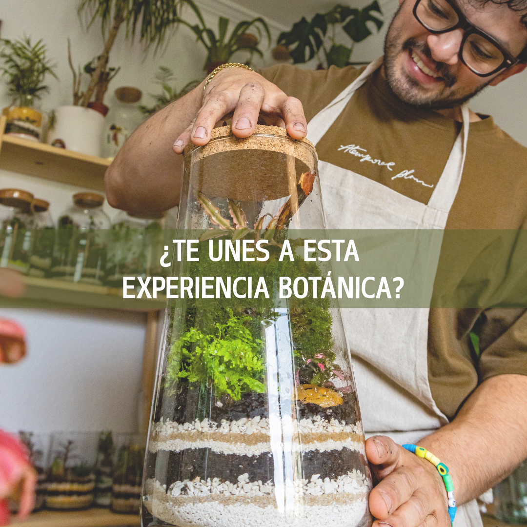 Taller crea tu propio jardín - Viernes 5 Septiembre 2025 a las 18h
