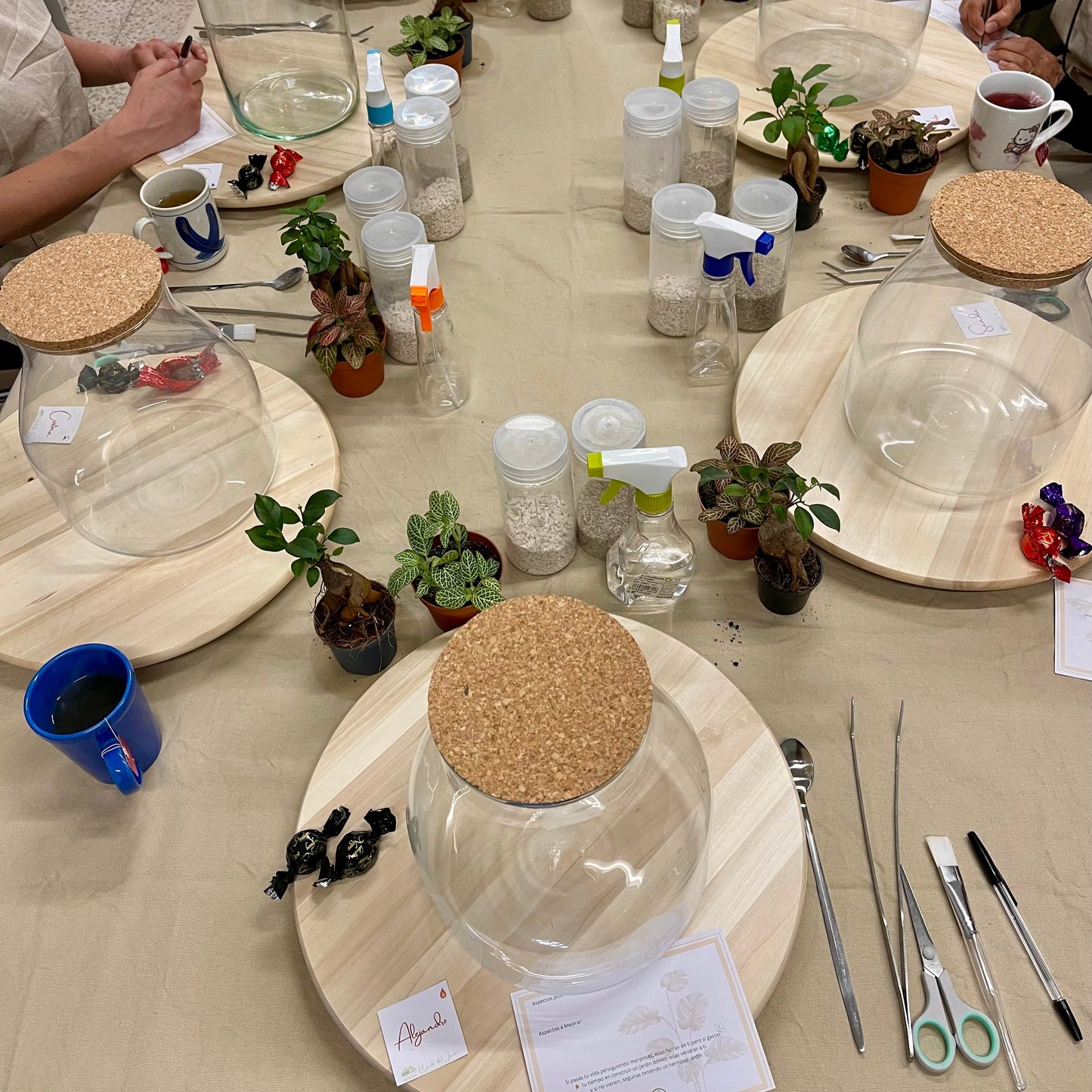 Taller de Terrarios –Navidad - Sábado 29 Noviembre 2025 a las 18:00