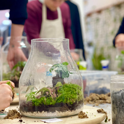 Taller de Terrarios –Navidad - Sábado 29 Noviembre 2025 a las 18:00