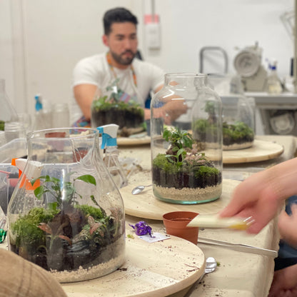 Taller de Terrarios –Navidad - Sábado 29 Noviembre 2025 a las 18:00