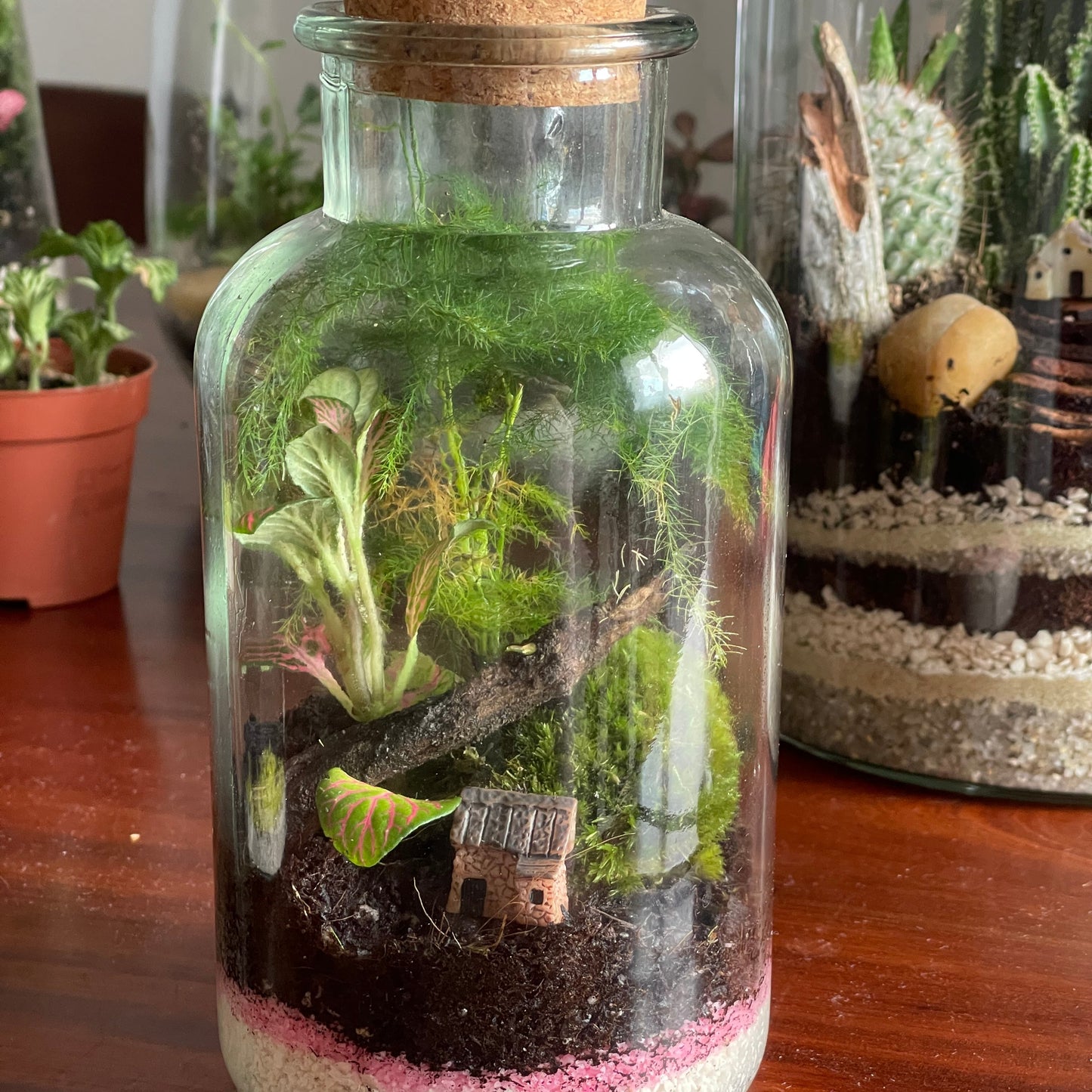 Taller crea tu propio jardín - Viernes 5 Septiembre 2025 a las 18h
