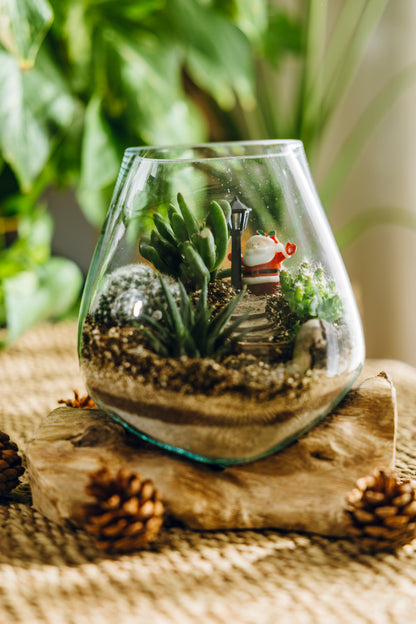 Terrario Poblet Navidad - Edición Especial