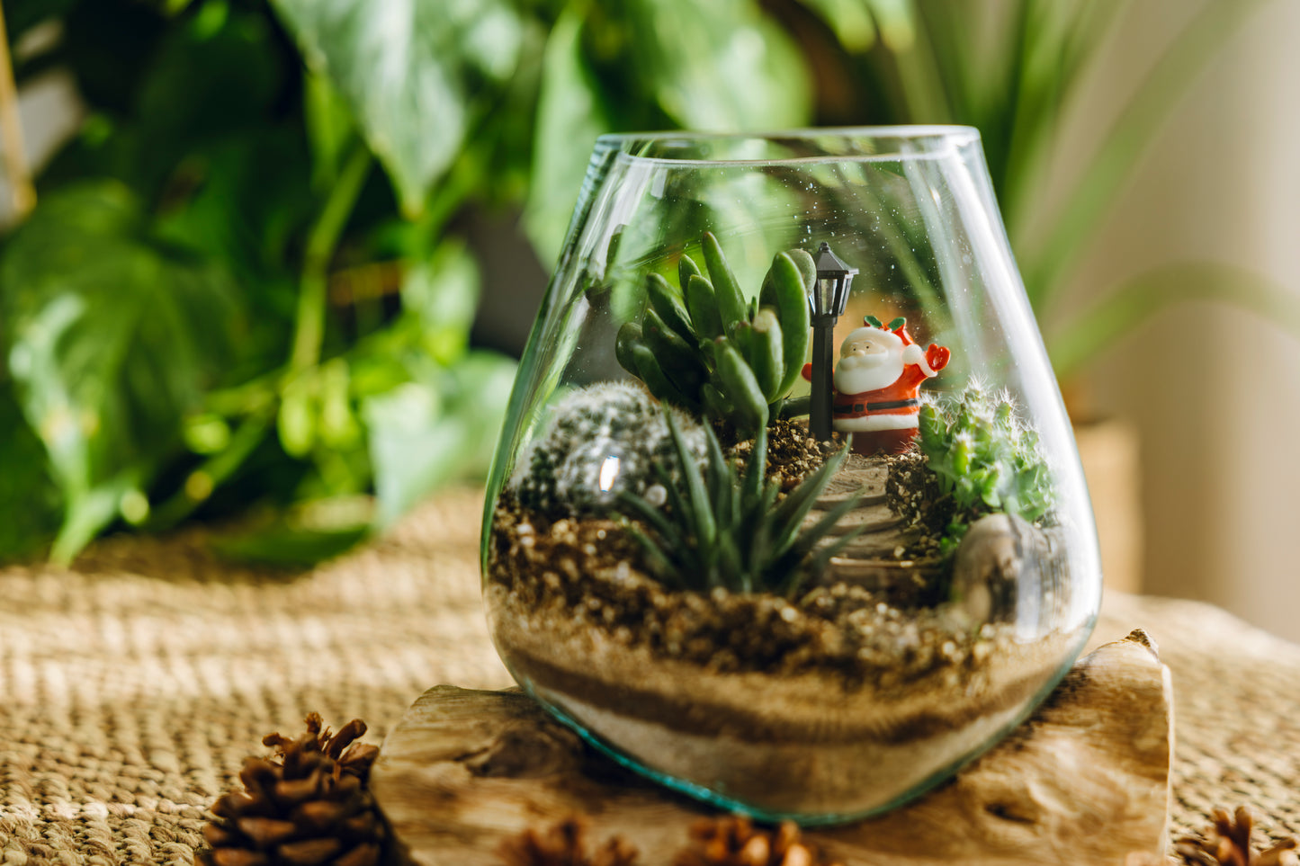 Terrario Poblet Navidad - Edición Especial