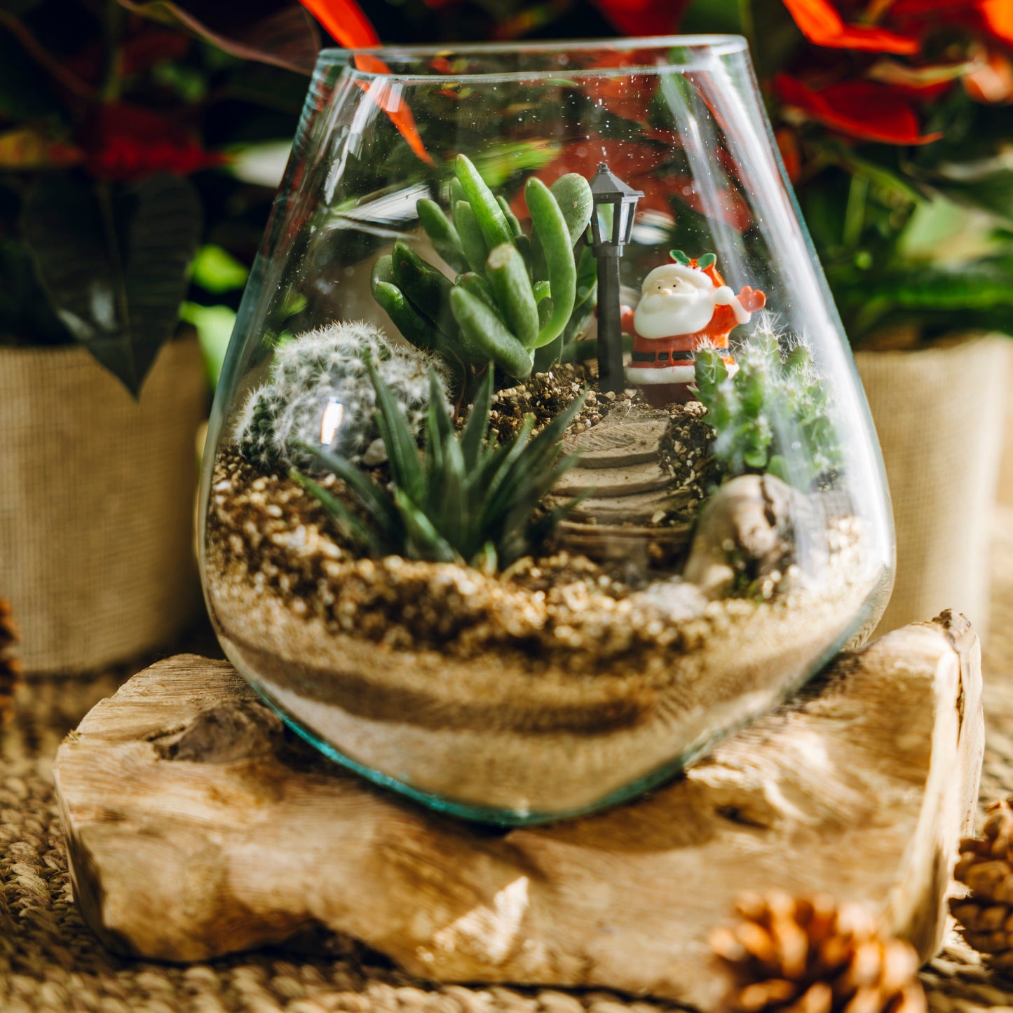 Terrario Poblet Navidad - Edición Especial