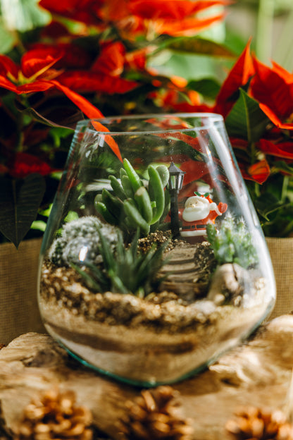 Terrario Poblet Navidad - Edición Especial