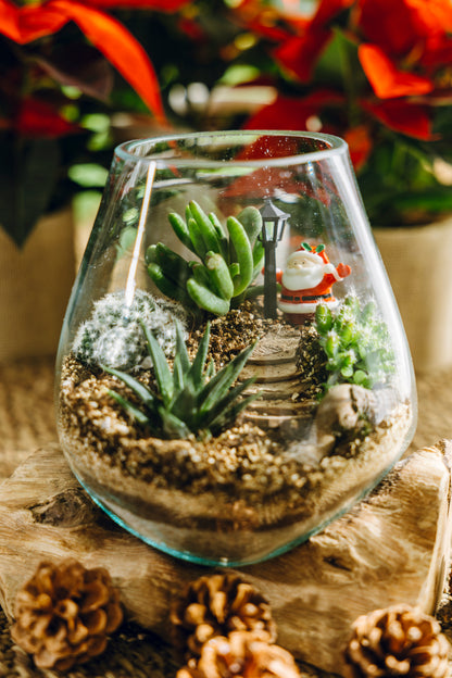 Terrario Poblet Navidad - Edición Especial