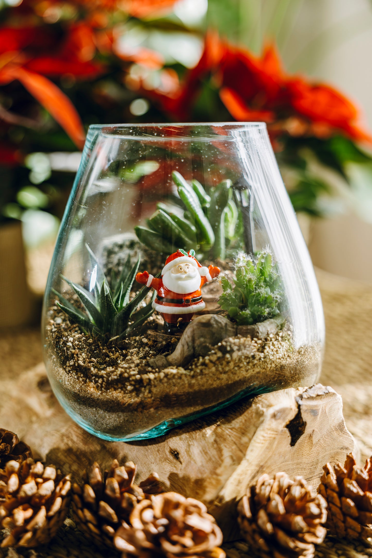 Terrario Poblet Navidad - Edición Especial