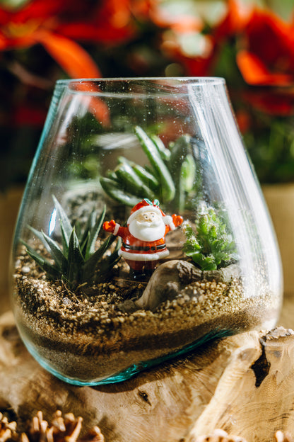 Taller de Terrarios –Navidad - Sábado 29 Noviembre 2025 a las 18:00