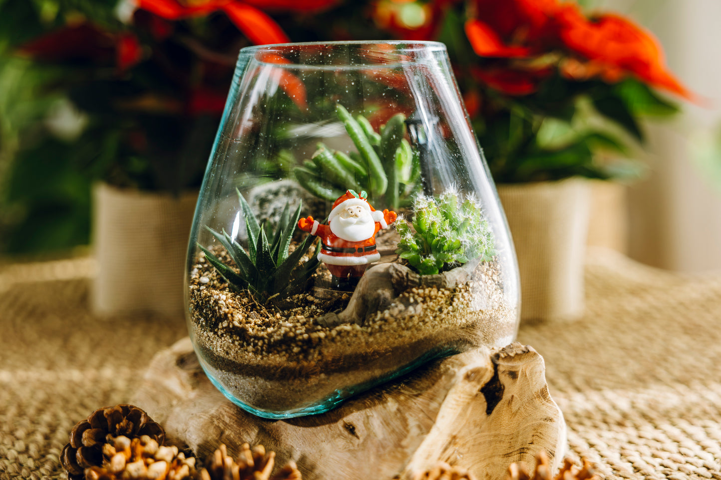 Terrario Poblet Navidad - Edición Especial