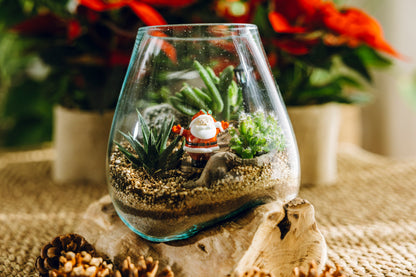 Terrario Poblet Navidad - Edición Especial