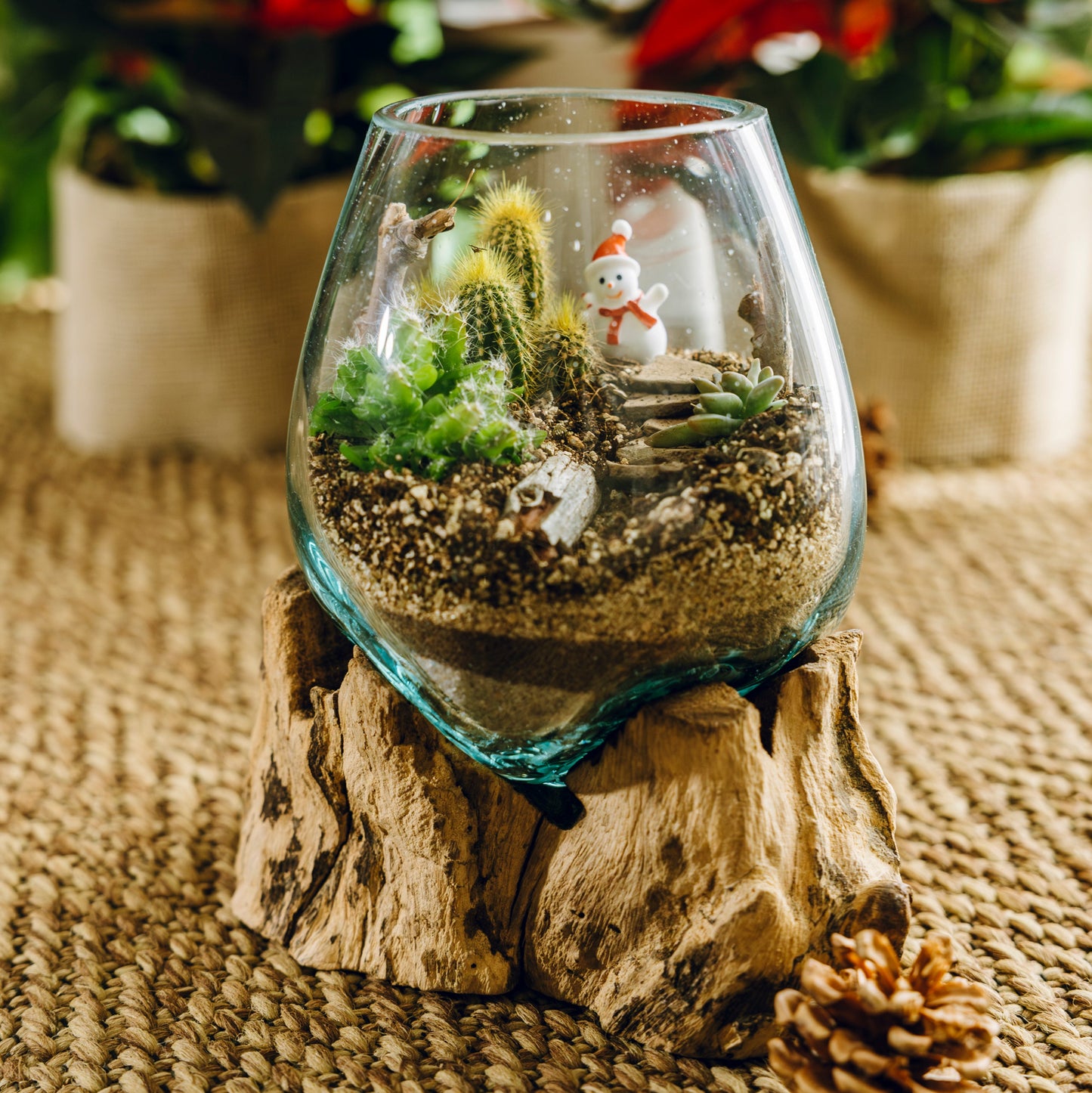 Terrario Montseny Navidad - Edición Especial