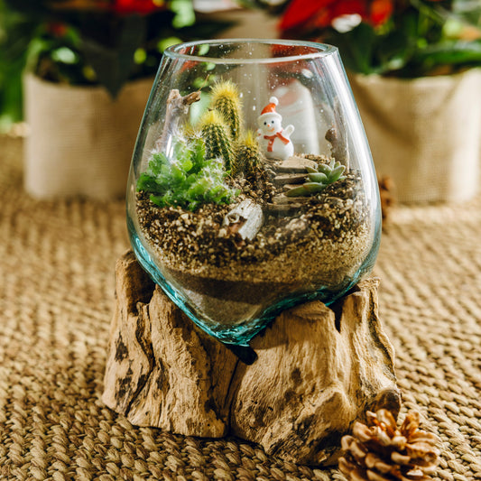 Terrario Montseny Navidad - Edición Especial