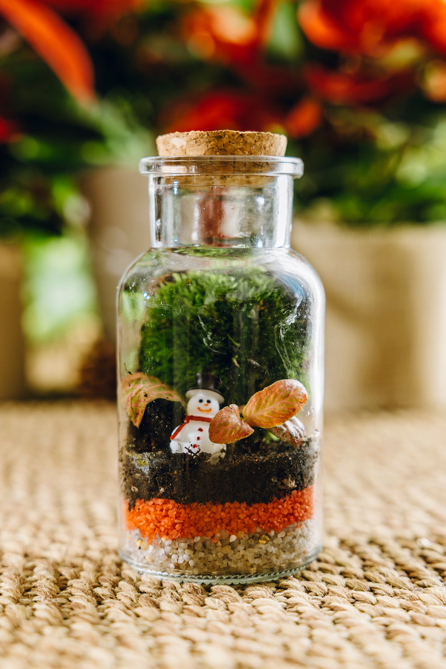 Jardín Rupit Navidad - Edición especial