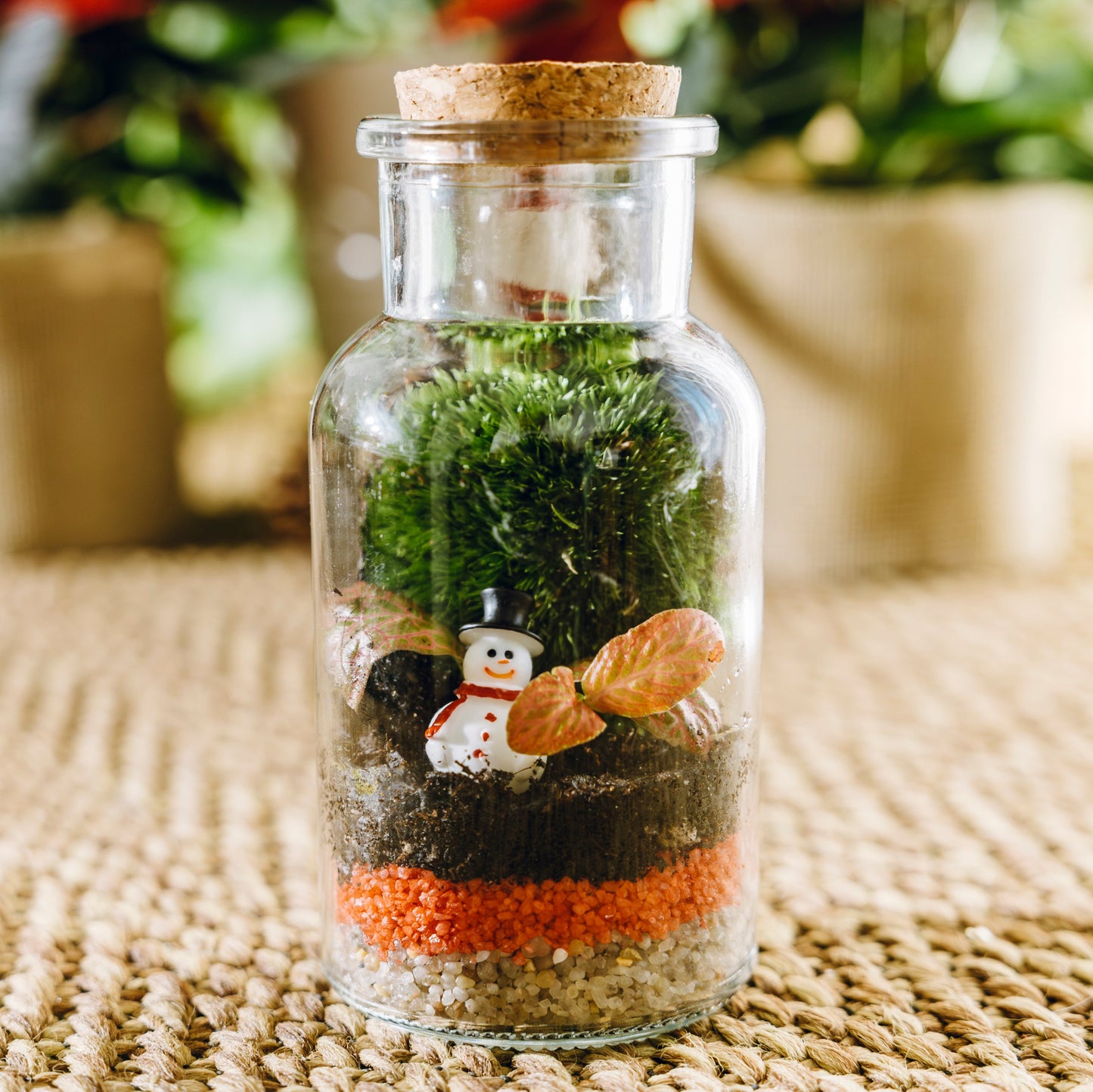 Jardín Rupit Navidad - Edición especial