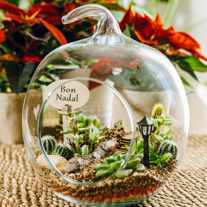 Terrario Poma Navidad - Edición Especial