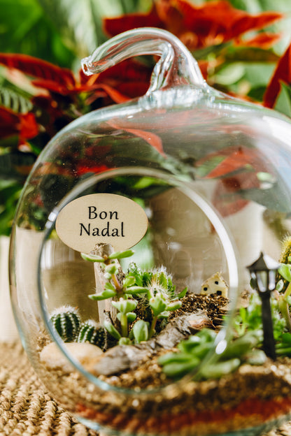 Terrario Poma Navidad - Edición Especial