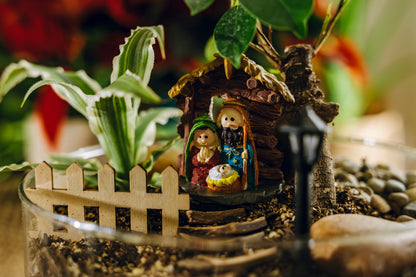 Terrario Ceiba Navidad - Edición especial