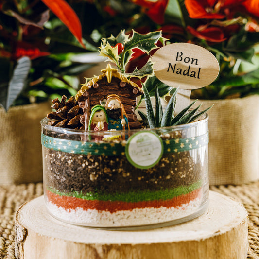 Jardín Zacapa Navidad - Edición especial