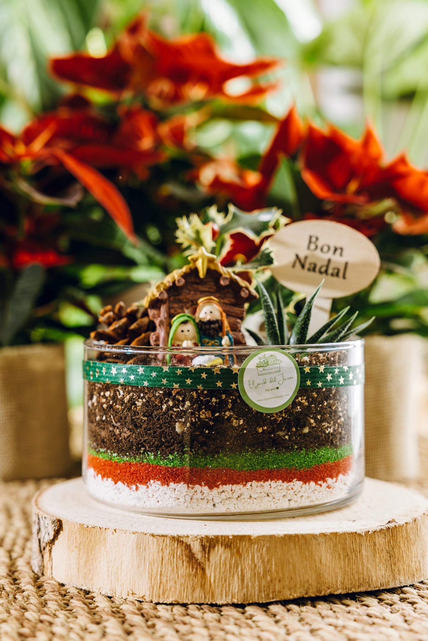 Jardín Zacapa Navidad - Edición especial