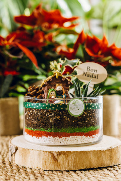 Jardín Zacapa Navidad - Edición especial