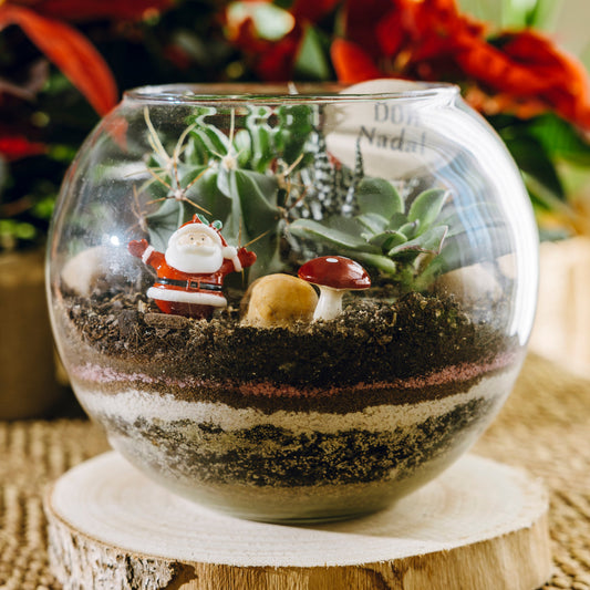 Jardín Atitlán Navidad - Edición especial