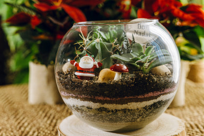 Jardín Atitlán Navidad - Edición especial