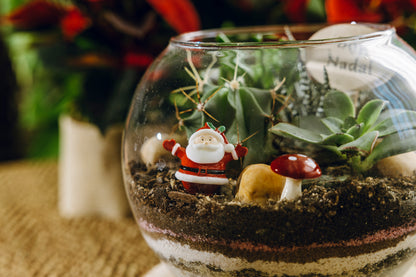 Jardín Atitlán Navidad - Edición especial