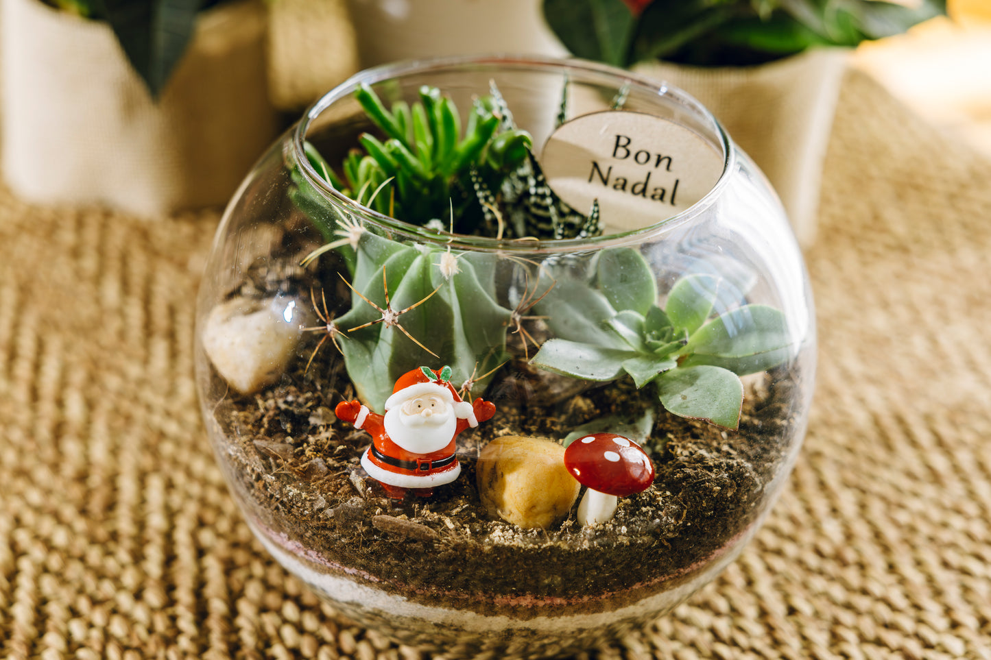 Jardín Atitlán Navidad - Edición especial