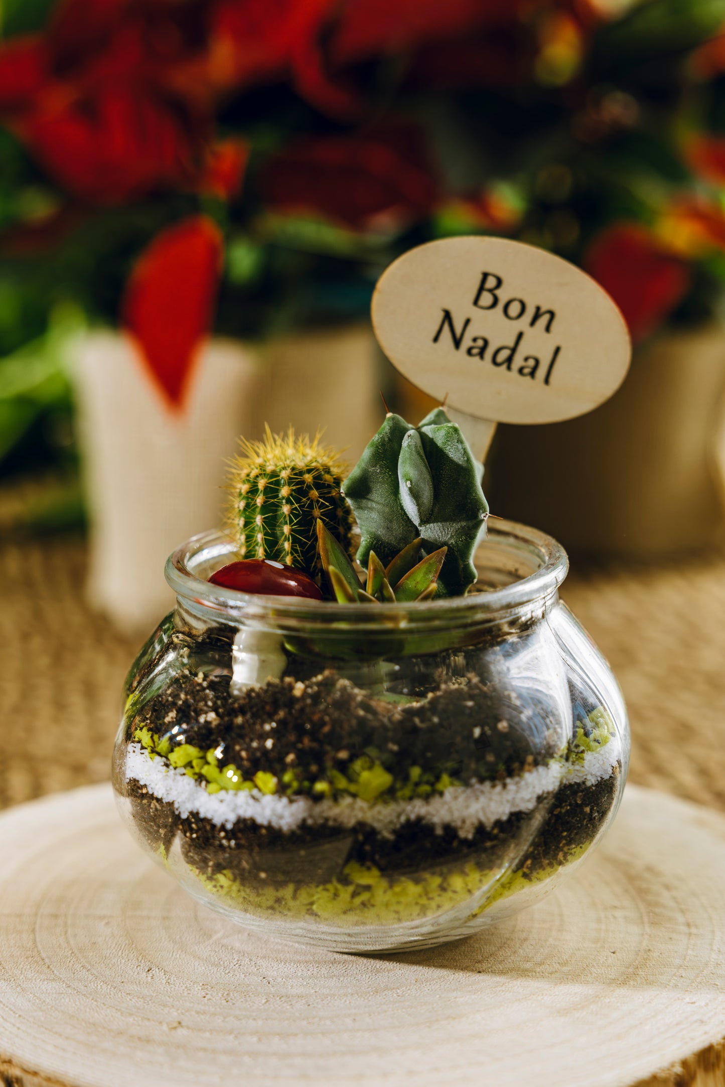 Jardín Ipala Navidad - Edición Especial