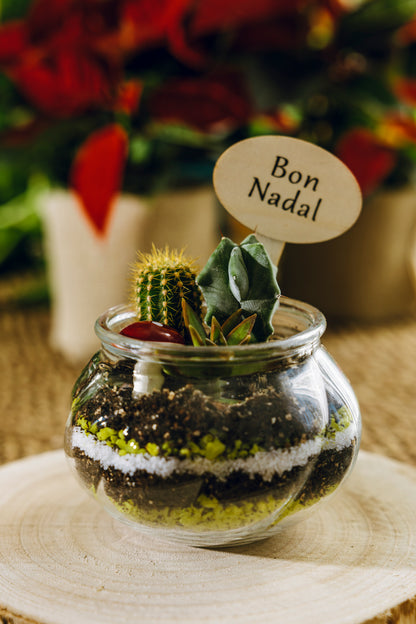 Jardín Ipala Navidad - Edición Especial