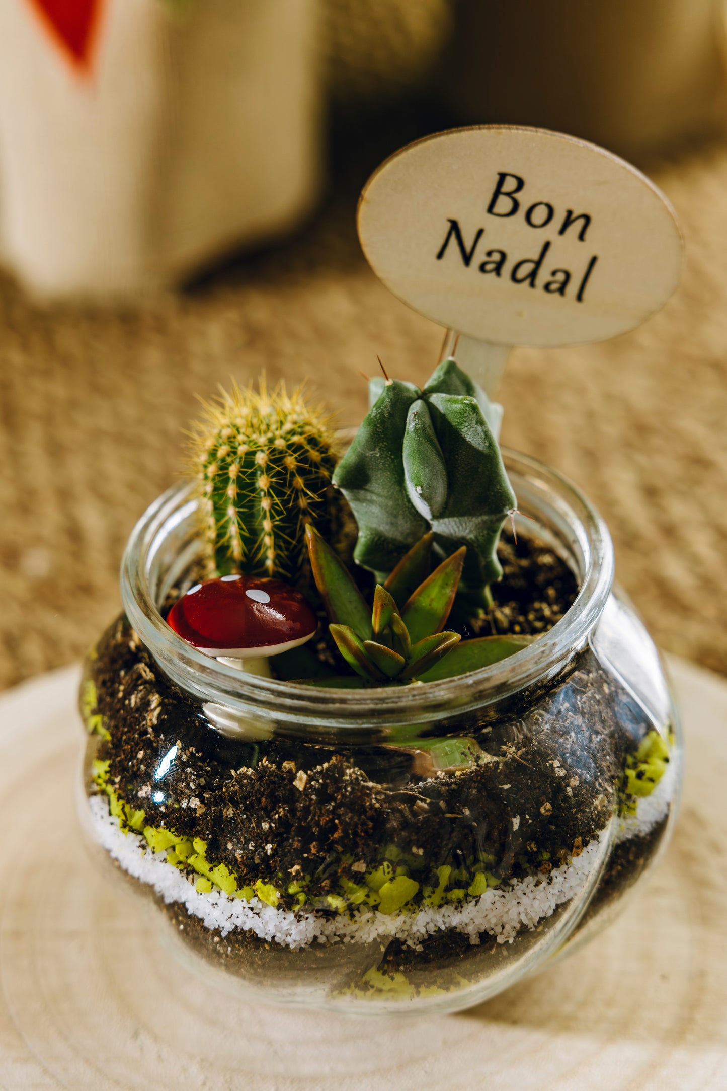 Jardín Ipala Navidad - Edición Especial