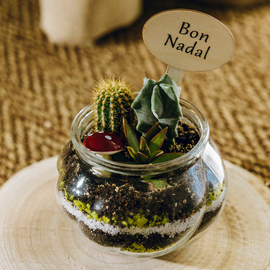 Jardín Ipala Navidad - Edición Especial