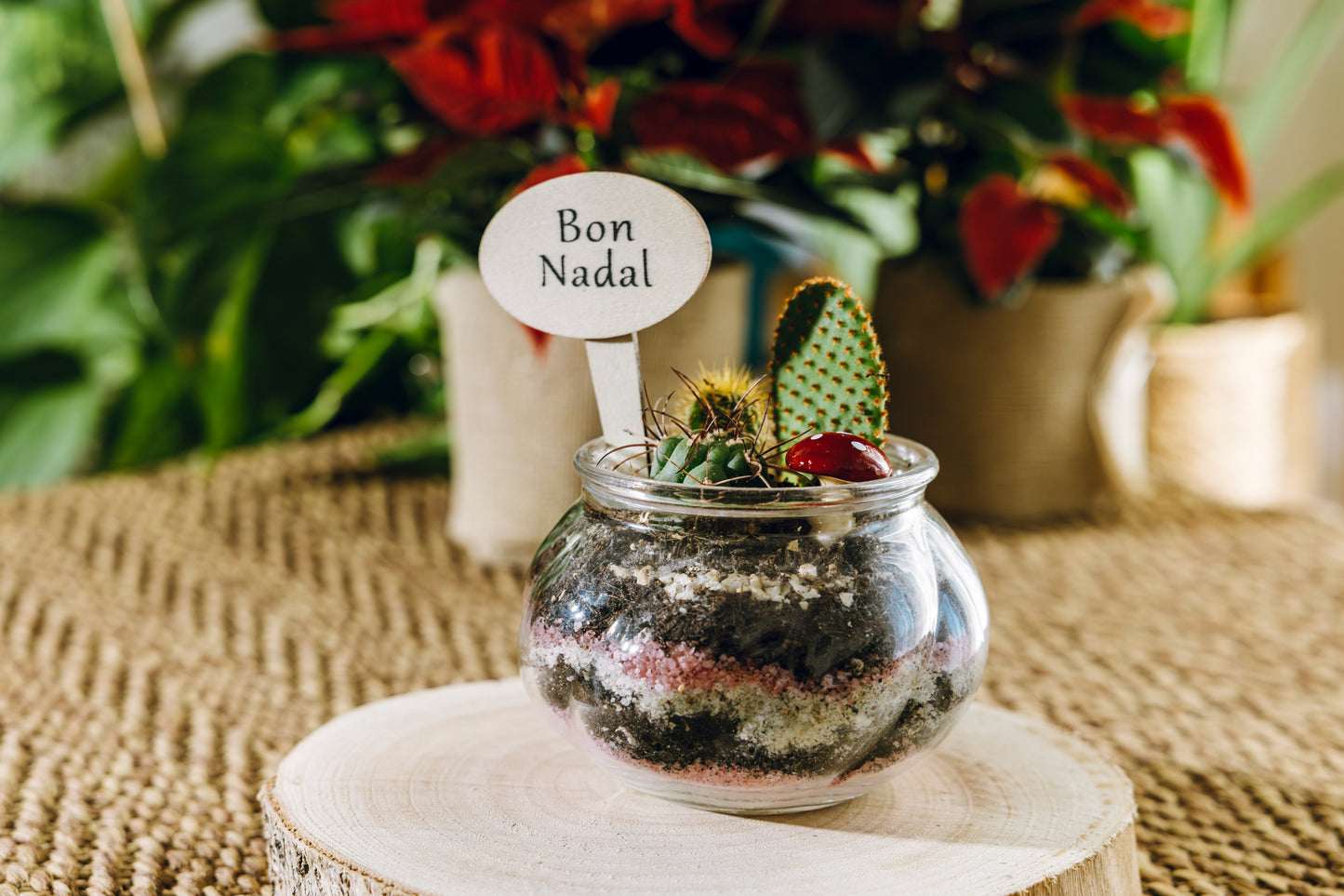 Jardín Ipala Navidad - Edición Especial