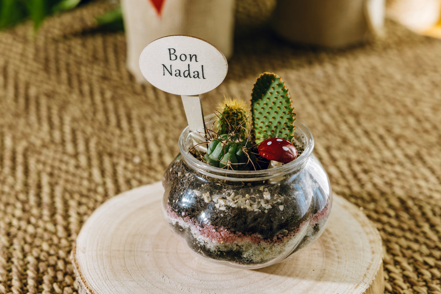 Jardín Ipala Navidad - Edición Especial