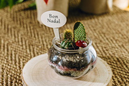 Jardín Ipala Navidad - Edición Especial