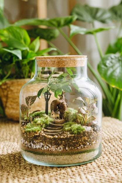 Terrario Vilanova Navidad - Edición espeial