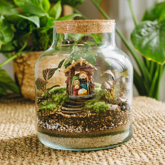 Terrario Vilanova Navidad - Edición espeial