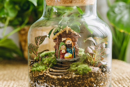 Terrario Vilanova Navidad - Edición espeial
