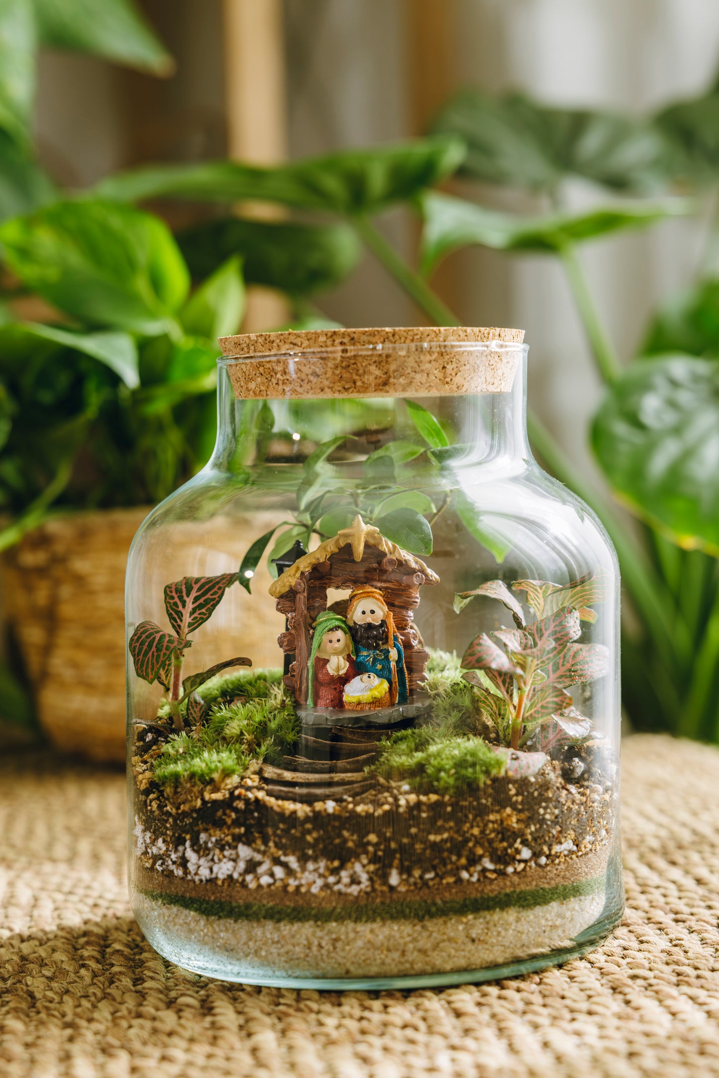 Terrario Vilanova Navidad - Edición espeial