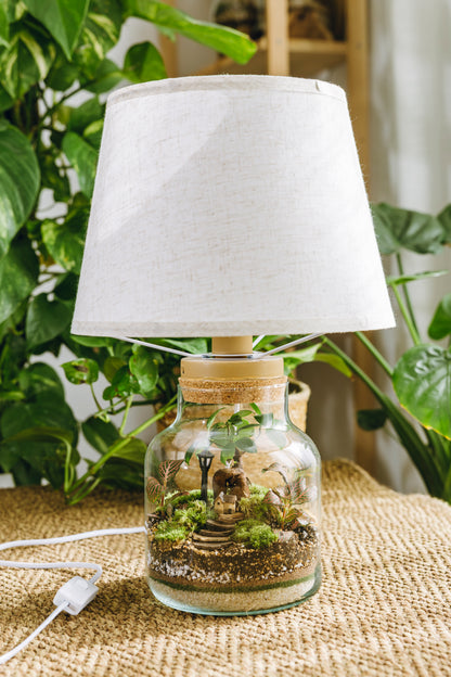 Terrario Vilanova Navidad - Edición espeial