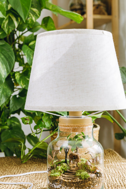 Terrario Vilanova Navidad - Edición espeial