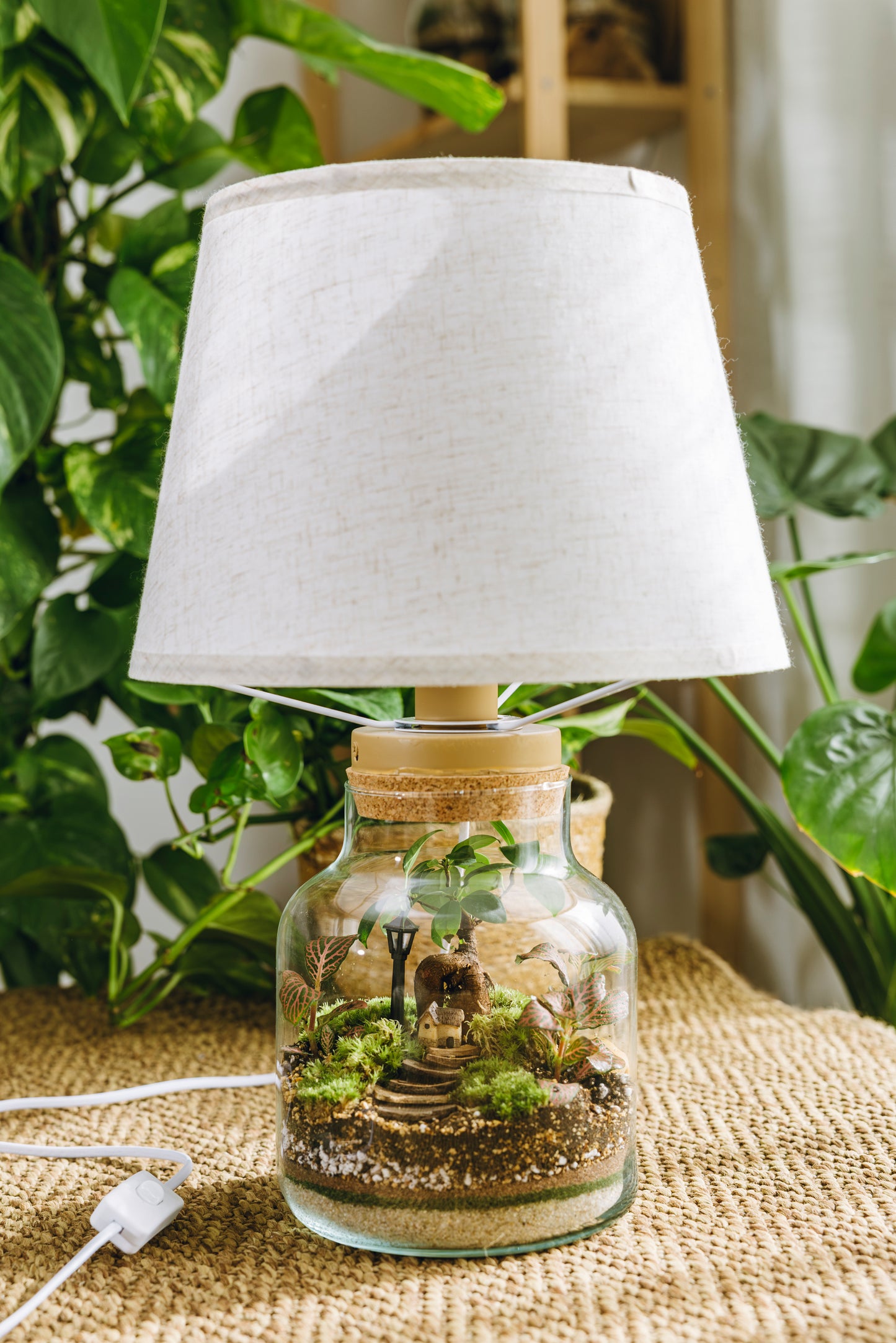 Terrario Vilanova Navidad - Edición espeial