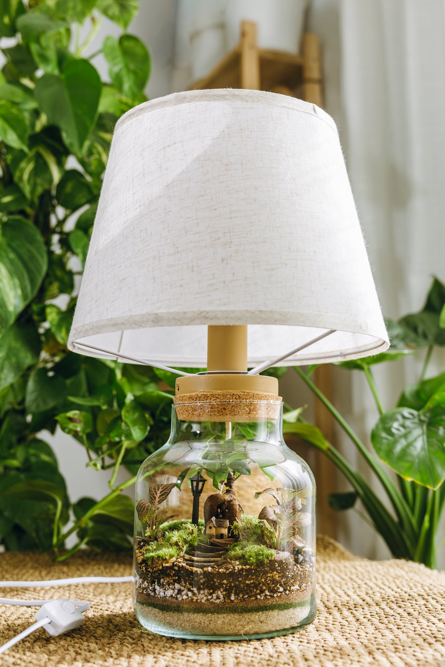 Terrario Vilanova Navidad - Edición espeial