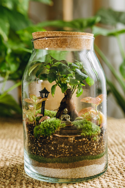 Terrario Sarrià Navidad - Edición espeial