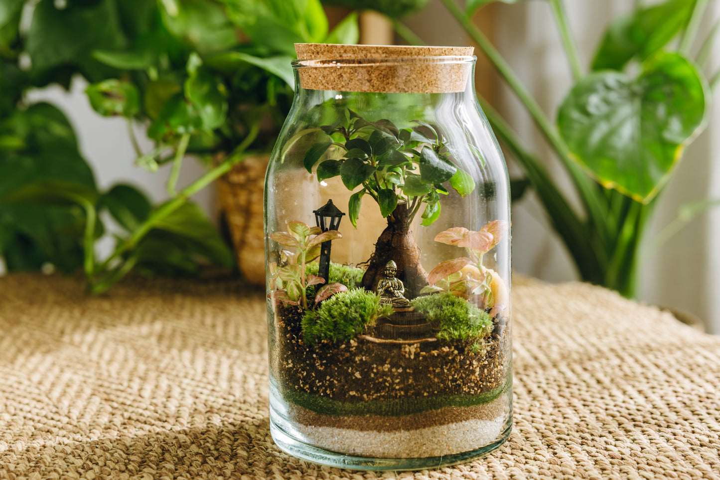 Terrario Sarrià Navidad - Edición espeial